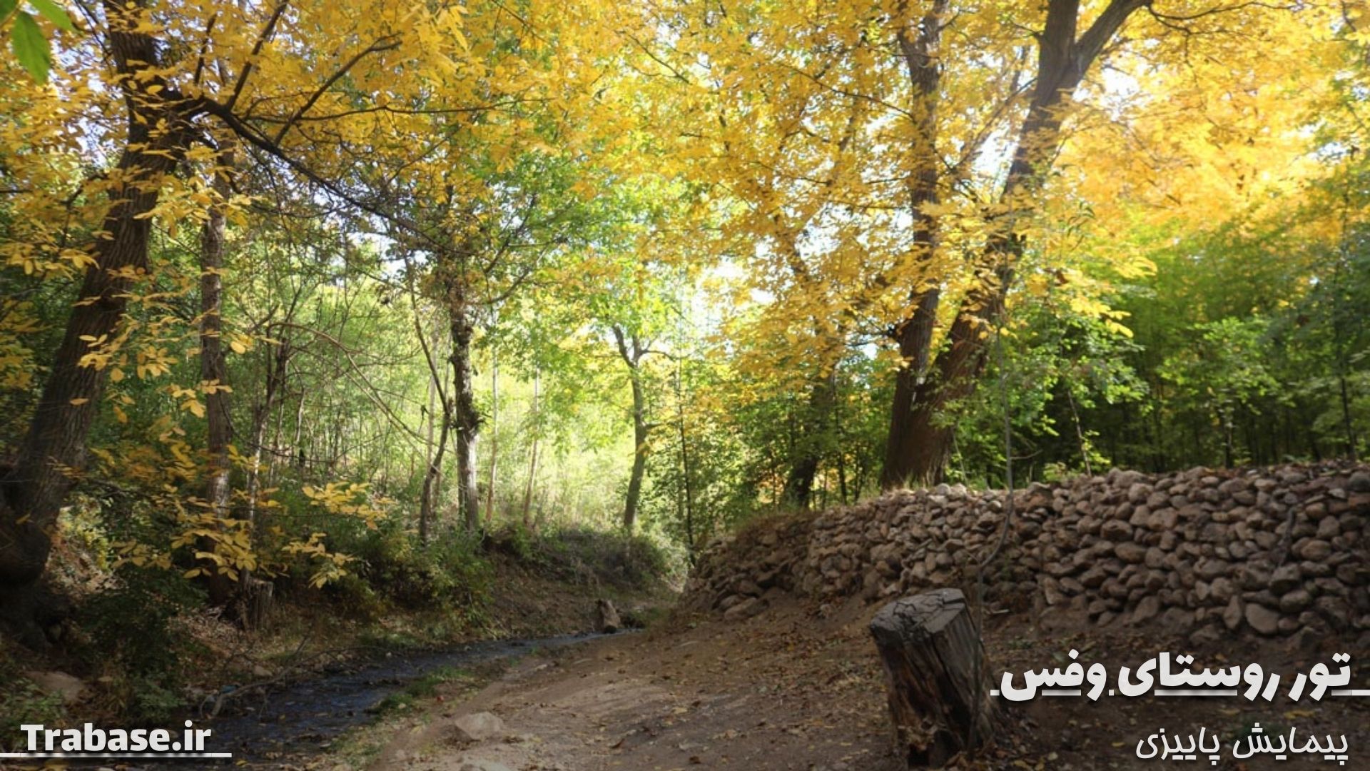 تور روستای وفس