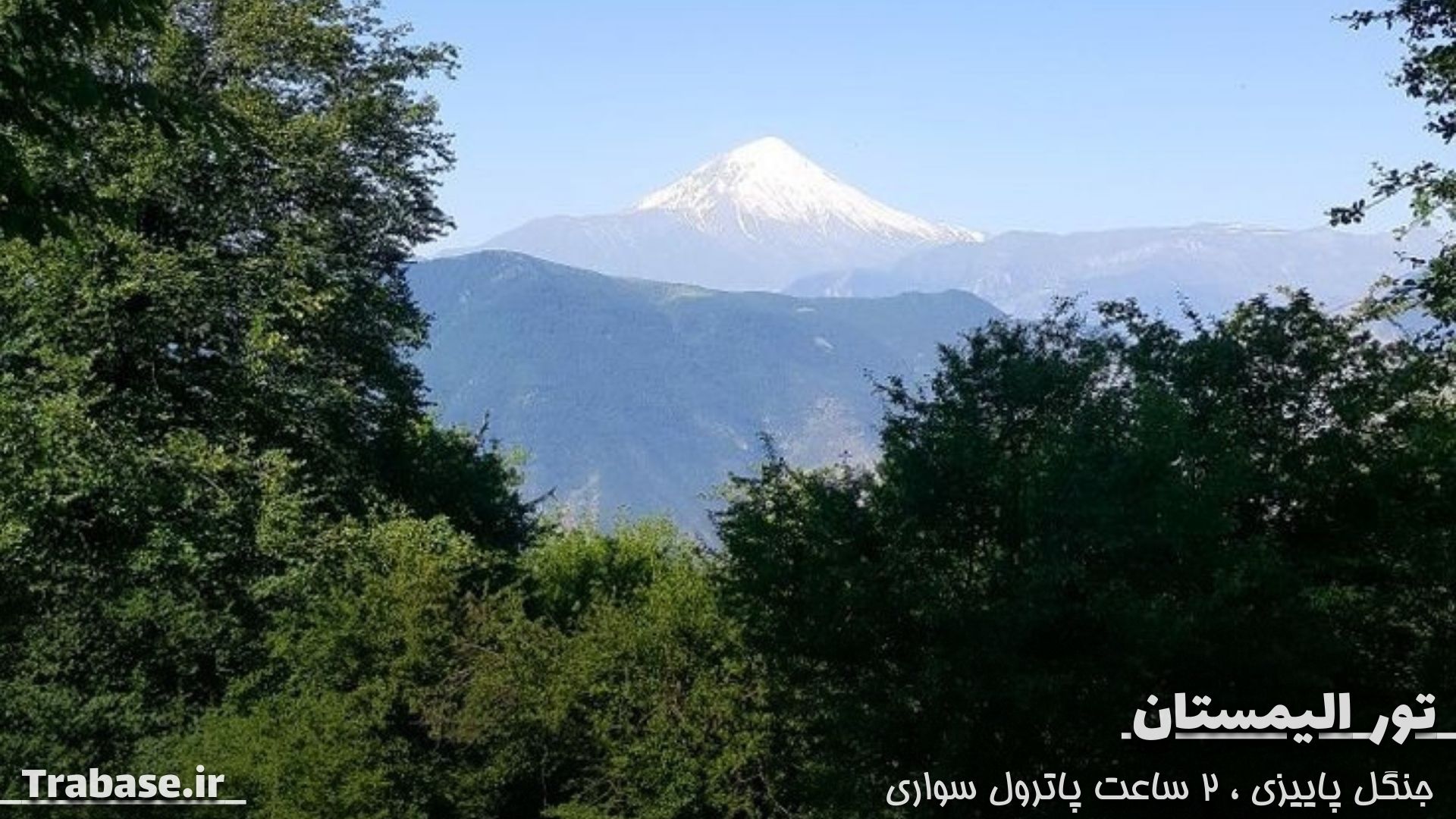 تور جنگل الیمستان 