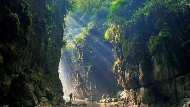 تنگه دار نوشهر