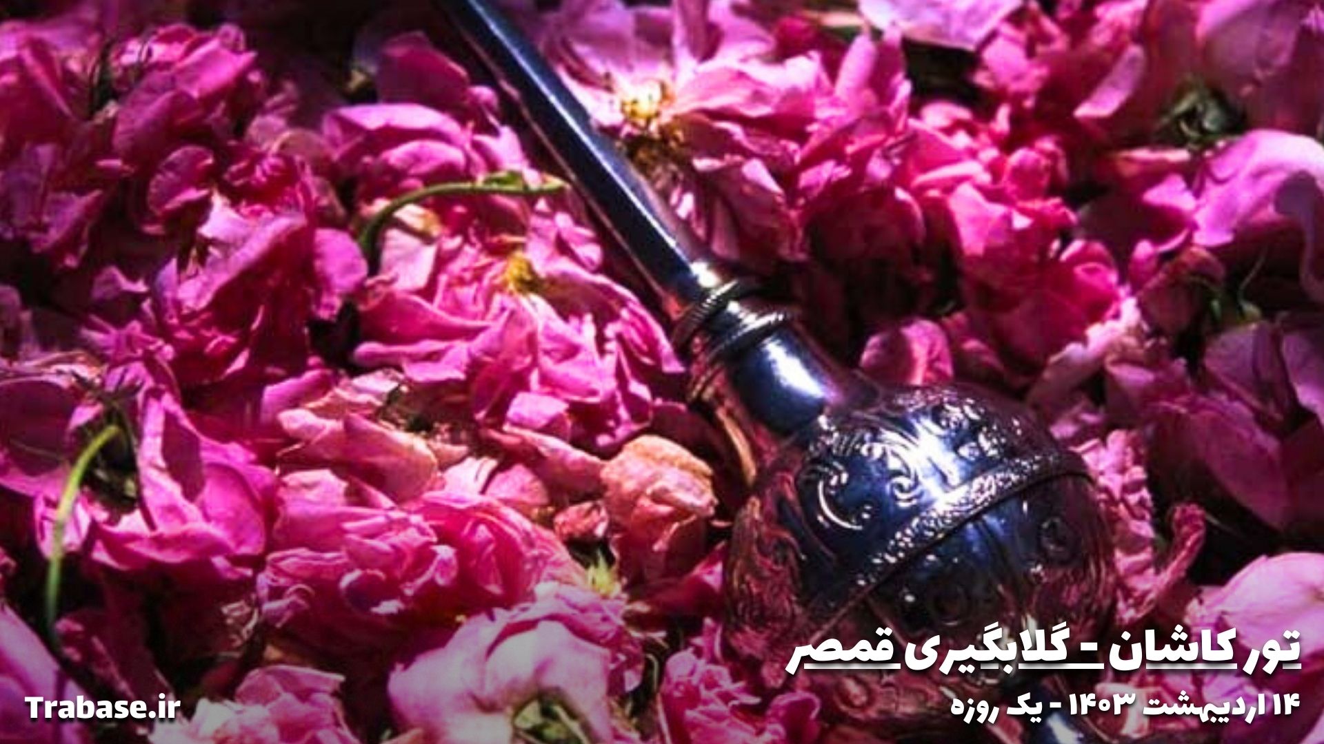 سفر به کاشان 